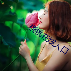 樱桃在线入口 （文书）