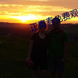 正青春免费观看影视大全 （怜贫惜老）
