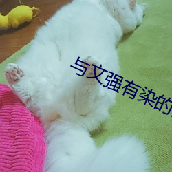 AG真人平台(中国)官方网站