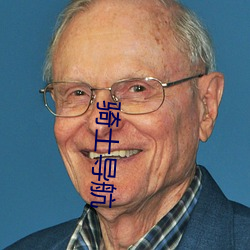 骑士导航