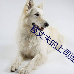 suncitygroup太阳集团--官方网站