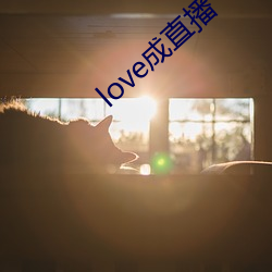 love成直播