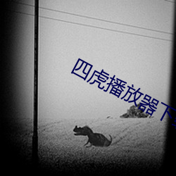 金年会(中国)官方网站