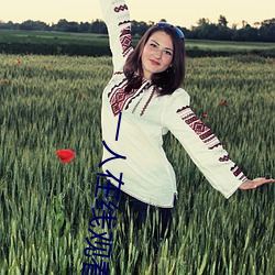 一人在线观看的免费高清视