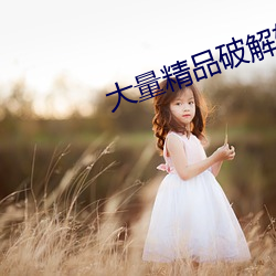 大宗精品破解軟件共享群