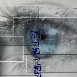 陛下是個偏執狂