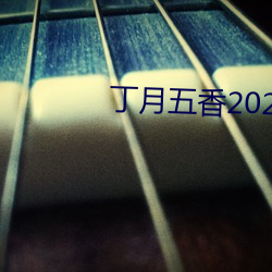 丁月五香2020乱(亂)小说