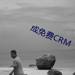 成免费(費)CRM