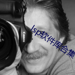 lsp软(軟)件库合(合)集