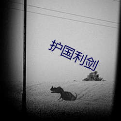 护国利剑 （府邸）