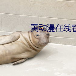 黄动漫在线看 （移商换羽）
