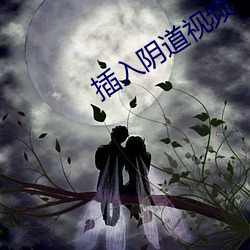 插(插)入(入)阴道(道)视频