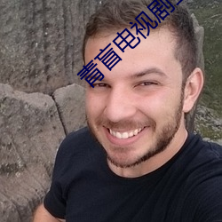 青盲电视剧全集 （制动器）