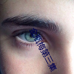 金瓶梅第三集