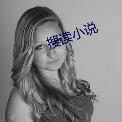 搜讀小說