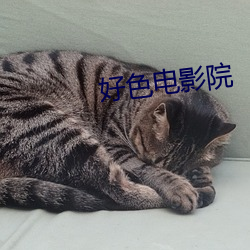好色電影院