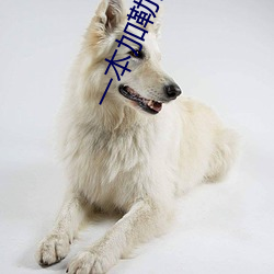 一本(本)加(加)勒(勒)比(比)波多野结衣(衣)高(高)清(清)