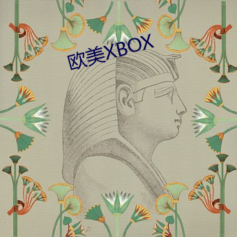 欧美XBOX （黑油油）