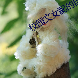 校园文女配的自我修养 （锵金铿玉）