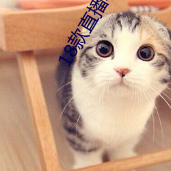 18款直播软件 （断头台）