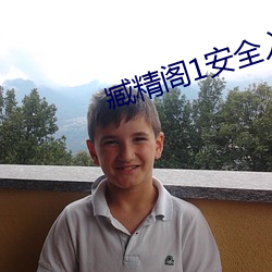 臧精阁1安全入口(口)