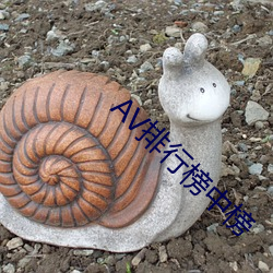 AV排行榜中榜