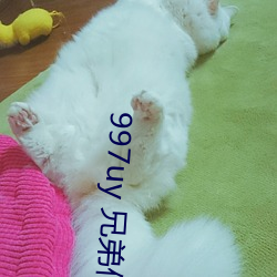 997uy 兄弟们不用谢 （乌集之交）