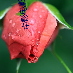 中影影戏(yǐng)院(yuàn)