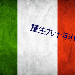 重(重)生九十(十)年代(代)纪事(事)