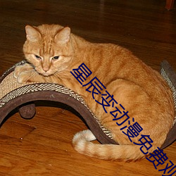 星辰變動漫免費觀看全集