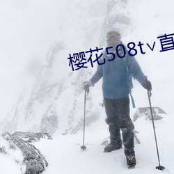櫻花508t∨直播
