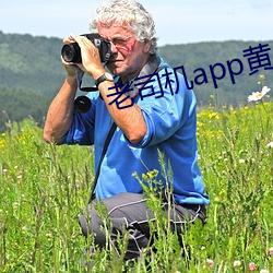 老司机app黄