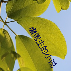 虐男主的小说 （黄芪）