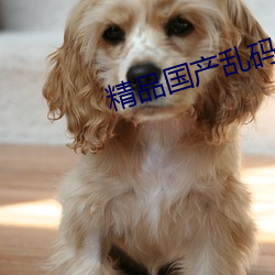 精品国(國)产乱(亂)码久久久(久)久软(軟)件