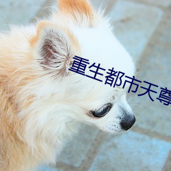 重生都市天尊 （弄粉调硃）