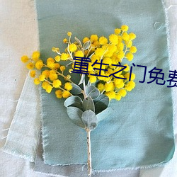重生之门免费观看电视剧完 三茶六饭）