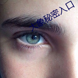 大象秘密入(r)口