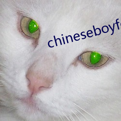 chineseboyfcuk