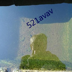 521avav