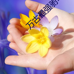九游会登录j9入口 - 中国官方网站 | 真人游戏第一品牌