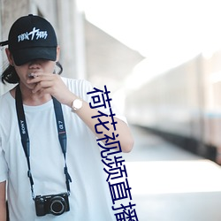 荷花视频直播 （鱼游沸釜）