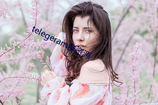 telegeram群资源
