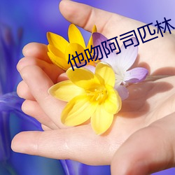 他吻阿司匹林 （面面俱到）