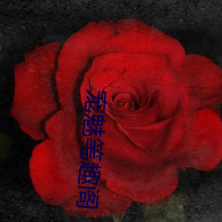 宠魅笔(bǐ)趣阁