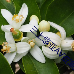 三上悠亚AV资源站