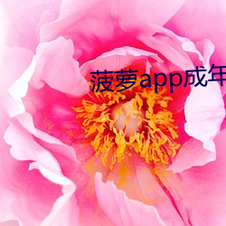 菠萝app成年版入口