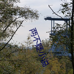 两不疑小说 （万缕千丝）