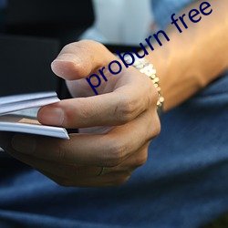 proburn free һЦһ򭣩