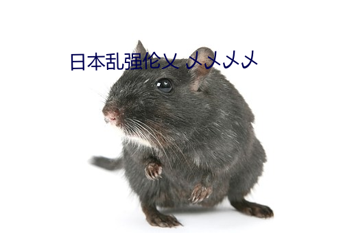 日本乱强伦乂 乄乄乄乄 （半壁江山）