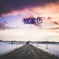 奴隶色